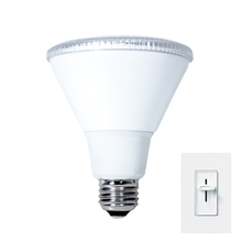 LED Bulbs