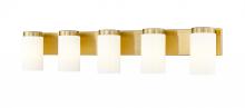 Z-Lite 746-5V-LG - 5 Light Vanity