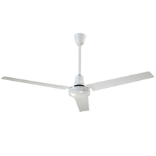 Ceiling Fans