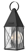 Hinkley Canada 1844BK - Medium Wall Mount Lantern