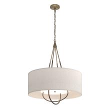 Hubbardton Forge - Canada 104230-SKT-84-05-SE2811 - Loop Pendant