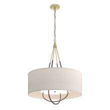 Hubbardton Forge - Canada 104230-SKT-86-05-SE2811 - Loop Pendant