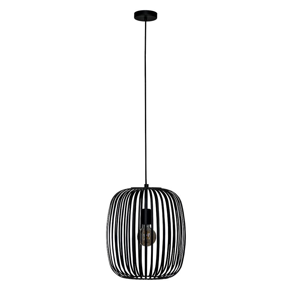 1 LT Cage Pendant w/ Black Finish & Black Shade