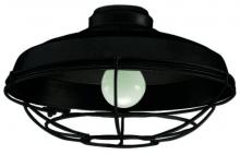 Craftmade LK984FB - Wire Cage No Glass w/1x 9w LED, Wet Rated